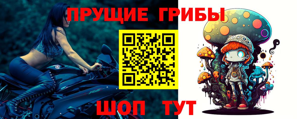 Псилоцибиновые грибы Psilocybe  Галлюциногенные грибы Psilocybine cubensis  Котовск  Вход с VPN 